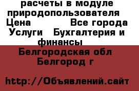 расчеты в модуле природопользователя › Цена ­ 3 000 - Все города Услуги » Бухгалтерия и финансы   . Белгородская обл.,Белгород г.